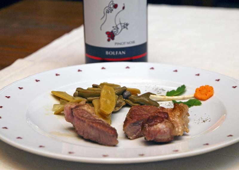 bolfan-vinski-vrh-modnialmanah-lifestyle-vino