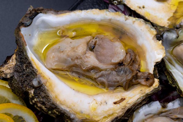 gastro-kamenice-bota-šare-modnialmanah-food-gastronomija