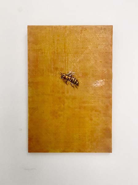 autori-za-petrovu-lifestyle-modnialmanah