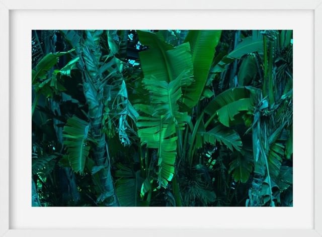 autori-za-petrovu-lifestyle-modnialmanah