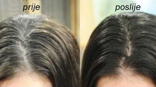 beauty-hair-kosa-njega-modnialmanah