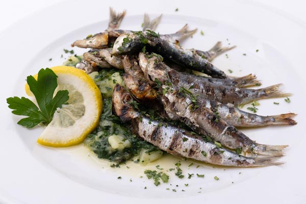bota-šare-gastro-marenda-modnialmanah