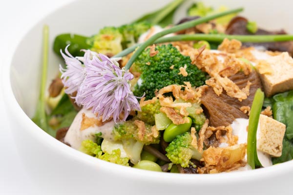gastro-poke-poke-modnialmanah