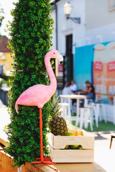 baš-naš-festival-modnialmanah-lifestyle-gradec