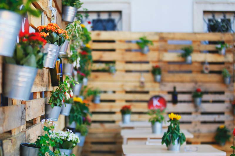 baš-naš-festival-modnialmanah-lifestyle-gradec