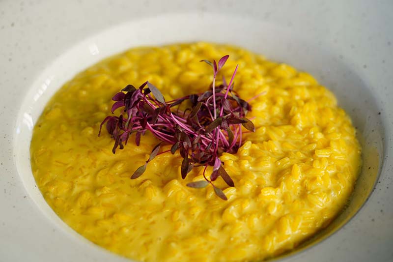 gastro-mime's-gourmet-bar-modnialmanah
