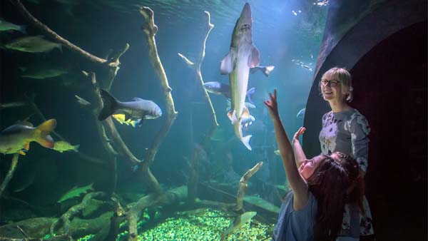 aquatika-tjedan-odmora-vrijedan-modnialmanah-lifestyle