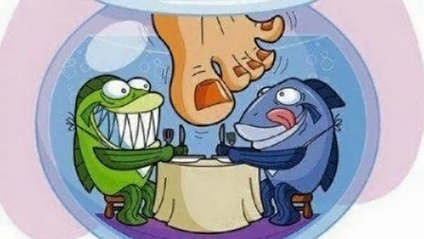 fish-pedikura-beauty-modnialmanah