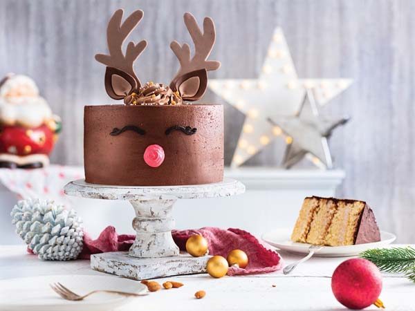 dr-oetker-gastro-modnialmanah