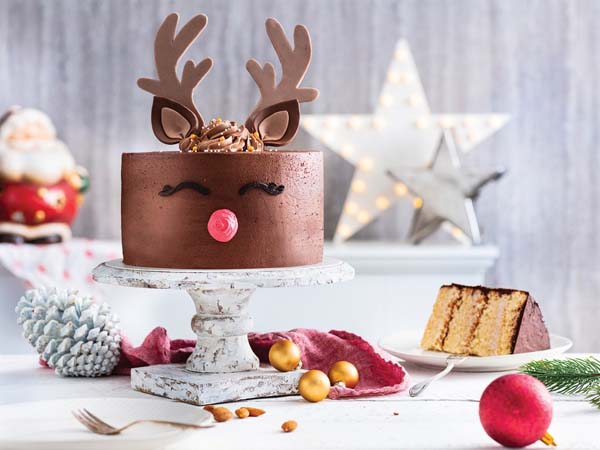dr-oetker-gastro-modnialmanah