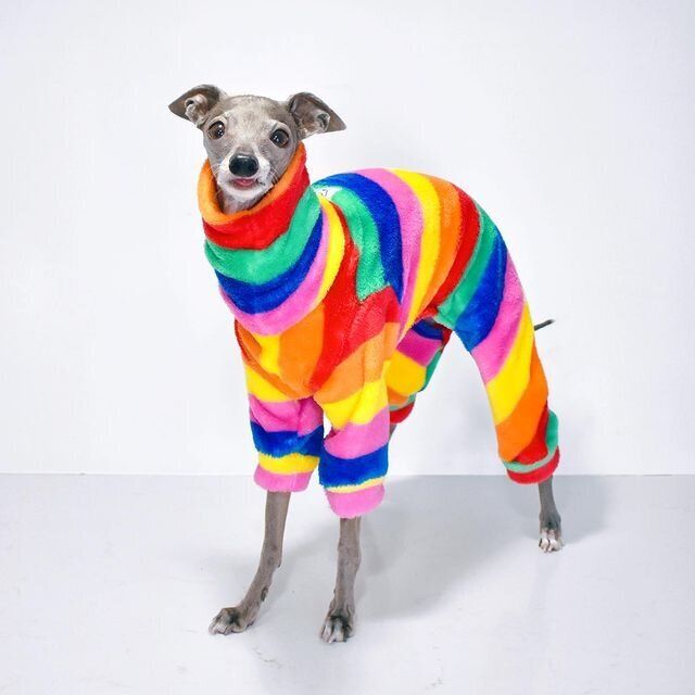 Tika-The-Iggy-fashion-pas-modnialmanah