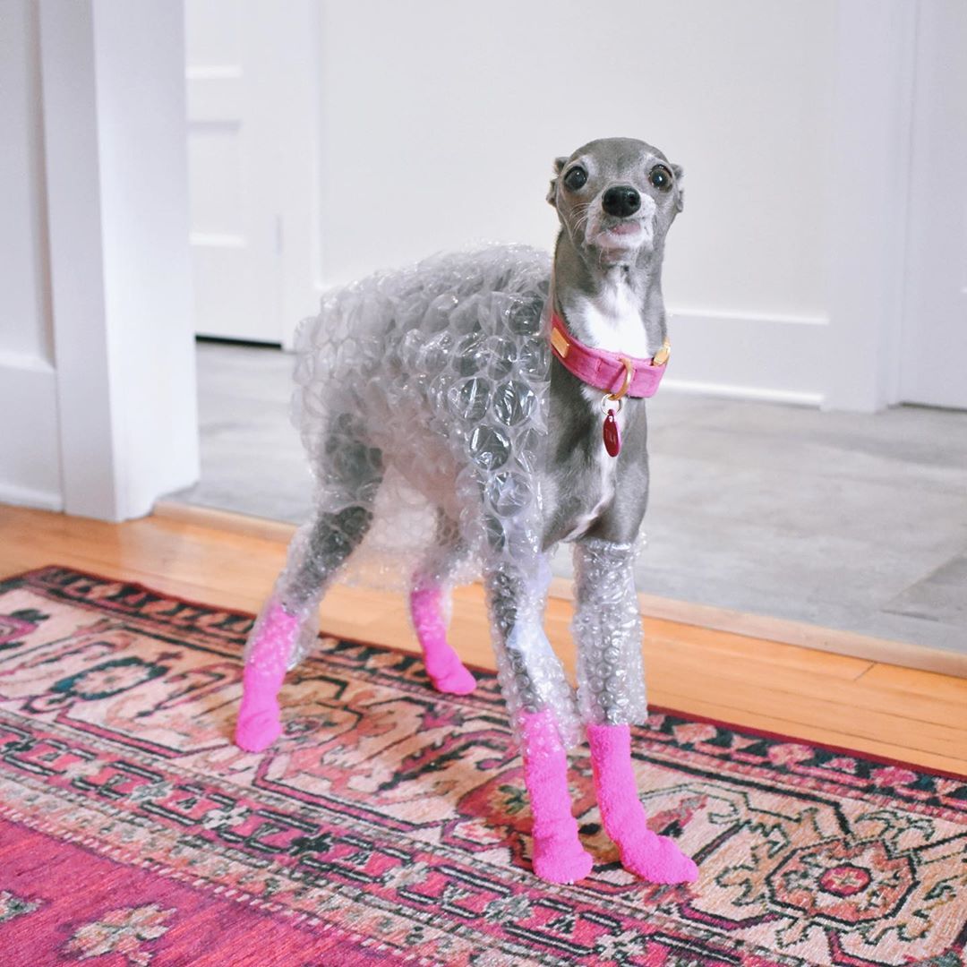 Tika-The-Iggy-fashion-pas-modnialmanah