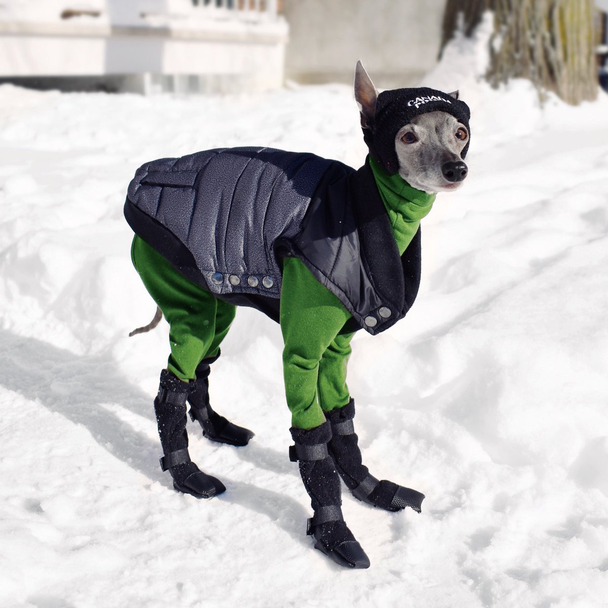 Tika-The-Iggy-fashion-pas-modnialmanah