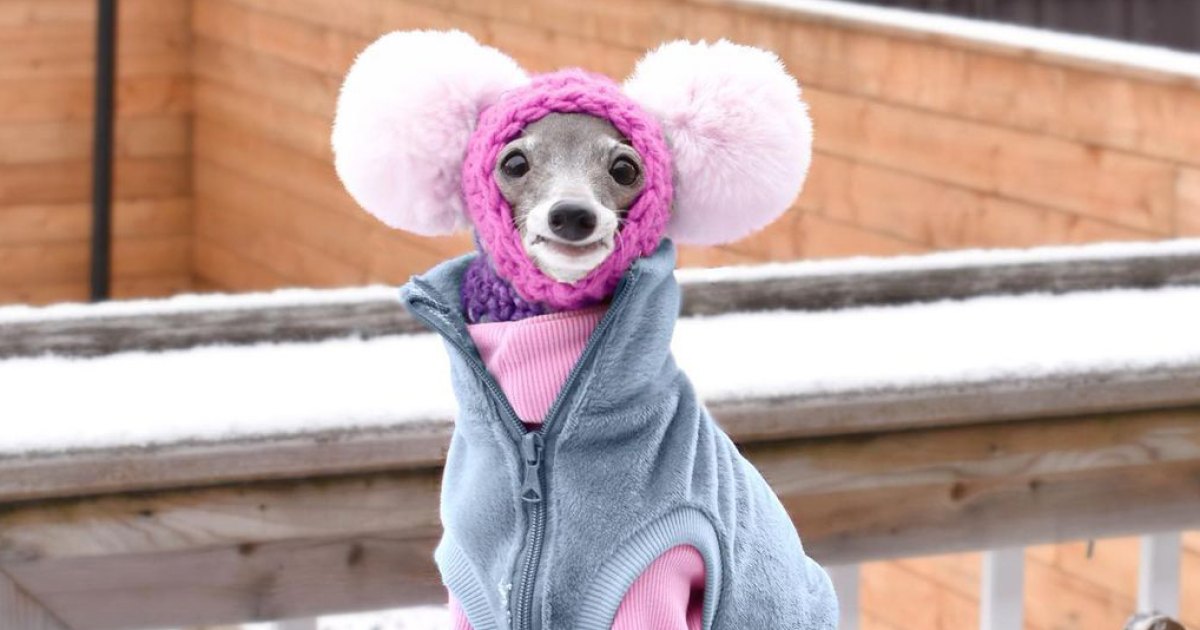 Tika-The-Iggy-fashion-pas-modnialmanah