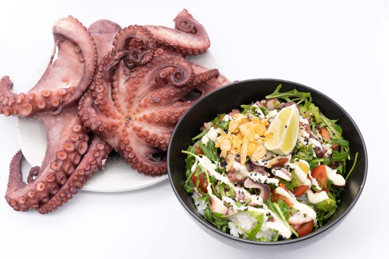 poke-poke-gastro-gastronomija-modnialmanah