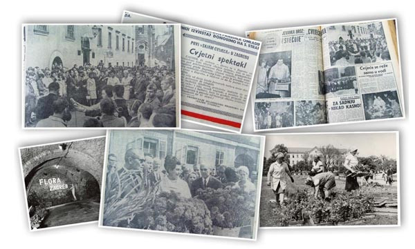 Mali-vremepolov-dugovječnog-Floraarta-lifestyle-modnialmanah