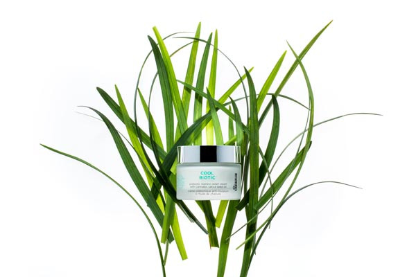 dr-brandt-cool-biotic-dermacuetical-beauty-njega-modnialmanah-konoplja-kozmetika-koža