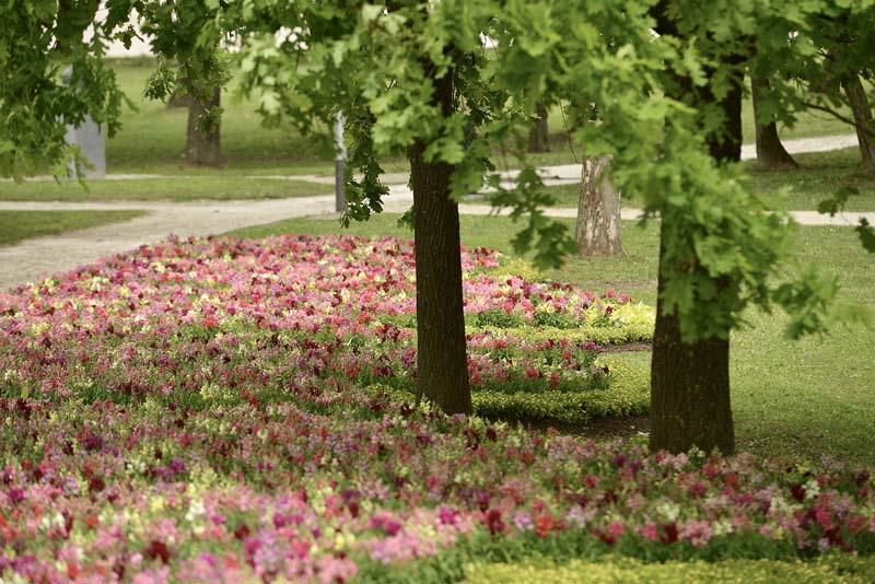 lifestyle-floraart-modnialmanah