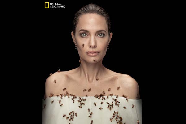 angelina-jolie-national-geographic-pčele-modnialmanah-lifestyle