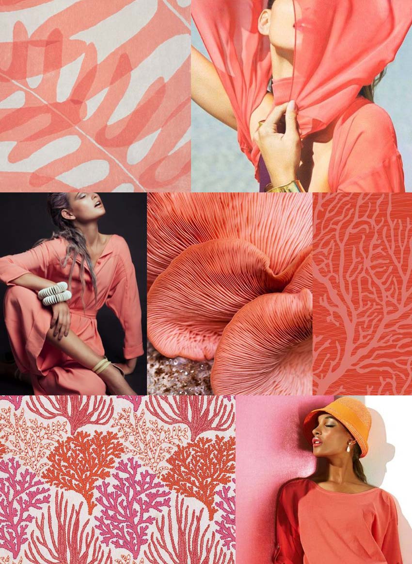 boja-koralja-fashion-modnialmanah