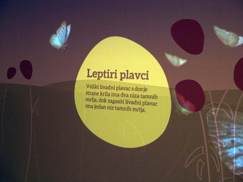 modnialmanah-women's-days-međimurje-međimurski-dvori-castellum