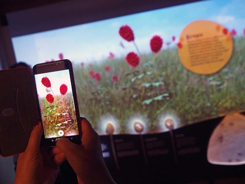 modnialmanah-women's-days-međimurje-međimurski-dvori-castellum