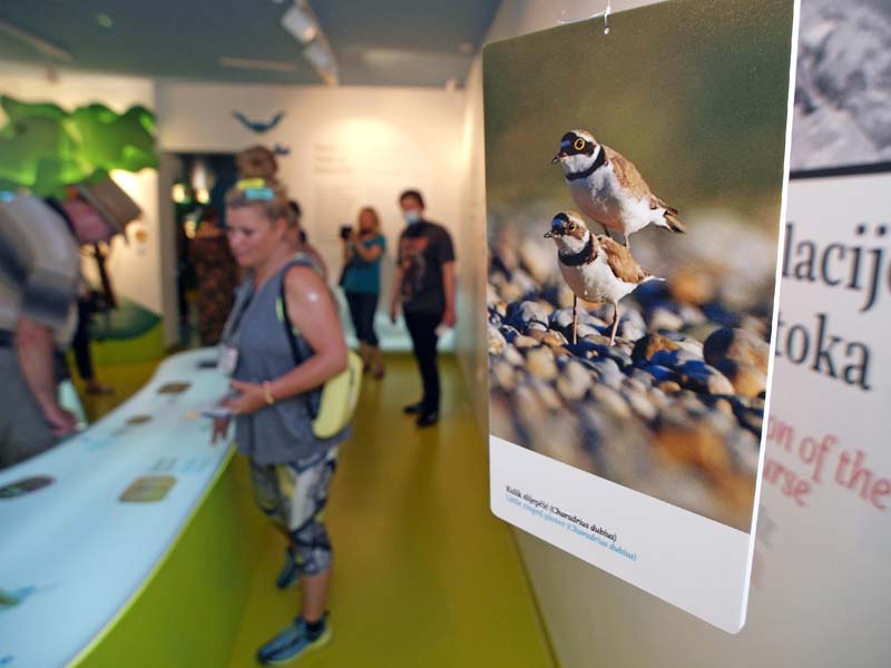 modnialmanah-women's-days-međimurje-međimurski-dvori-castellum