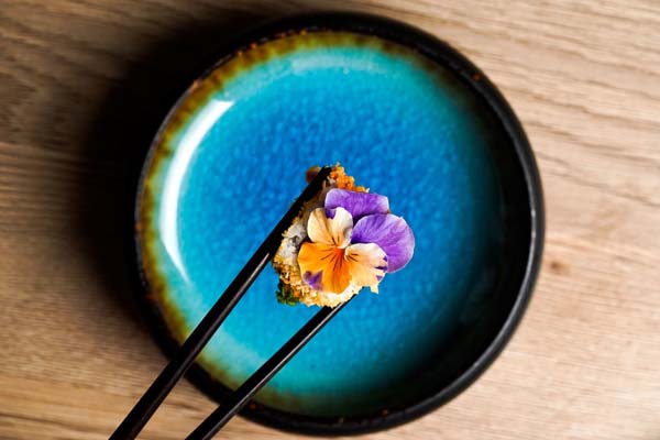 gastro-takenoko-restoran-japanska-kuhinja-modnialmanah-nikkei-koncept