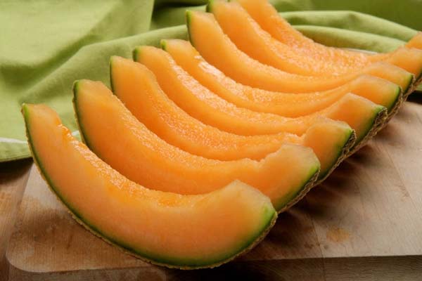 dinja-gastro-modnialmanah