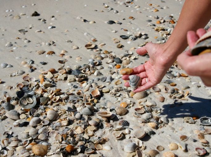 lifestyle-modnialmanah-plaža-zabava
