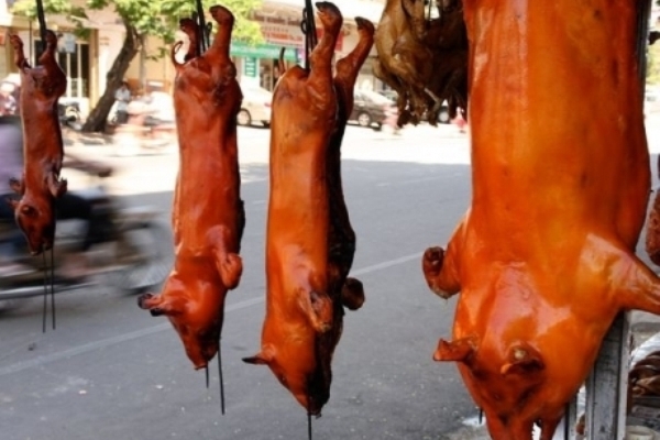 gastro-putovanje-hrana-food-modnialmanah