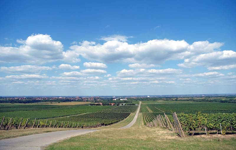 women's-days-ilok-modnialmanah-iločki-podrumi