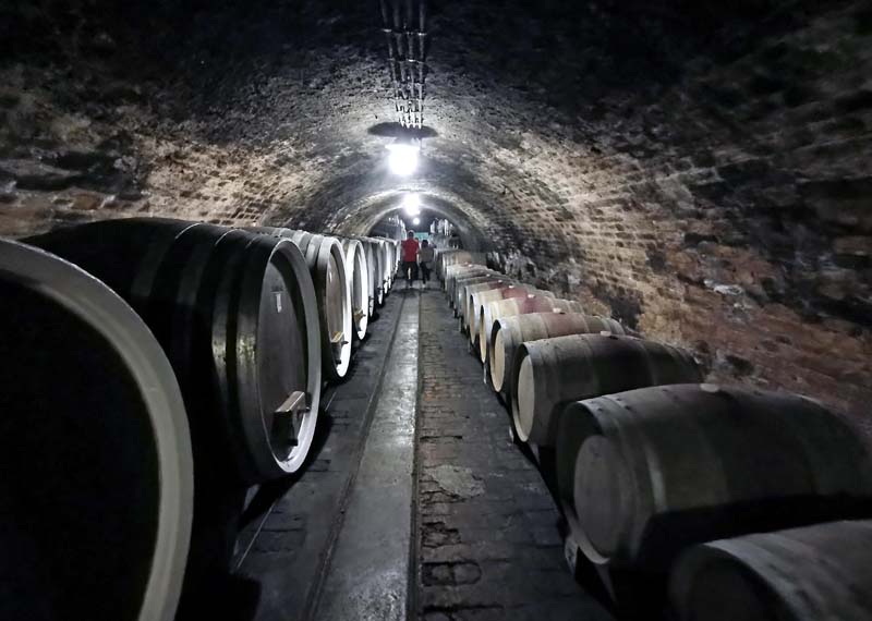 women's-days-ilok-modnialmanah-iločki-podrumi