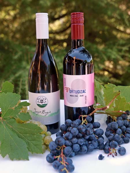 lifestyle-portugizac-plešivica-vino-modnialmanah