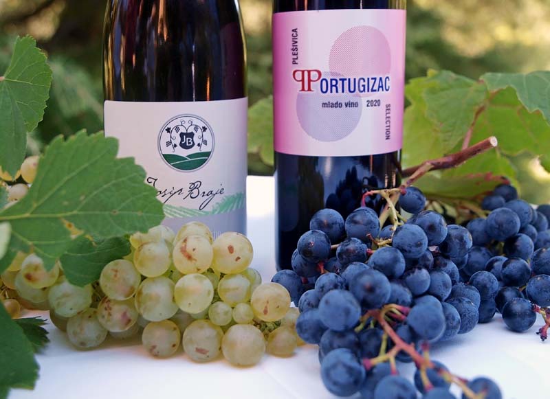 lifestyle-portugizac-plešivica-vino-modnialmanah