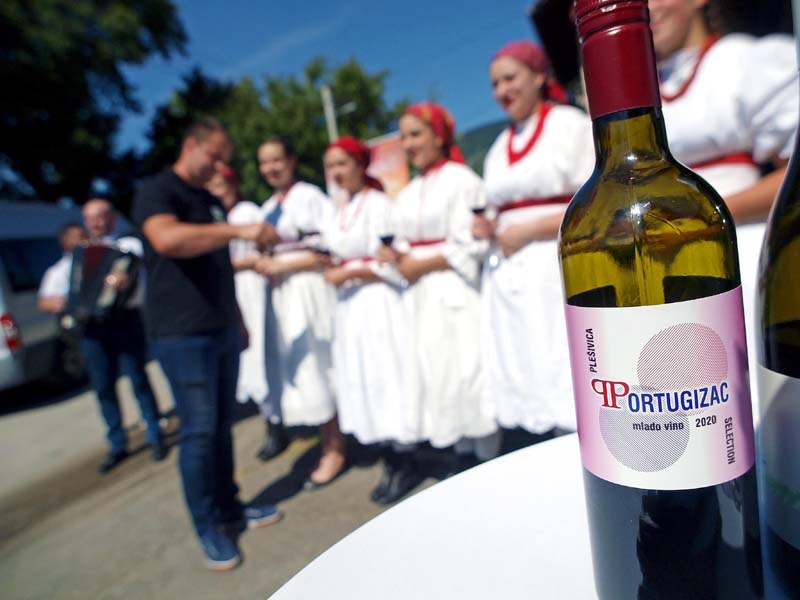 lifestyle-portugizac-plešivica-vino-modnialmanah