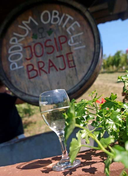 lifestyle-portugizac-plešivica-vino-modnialmanah