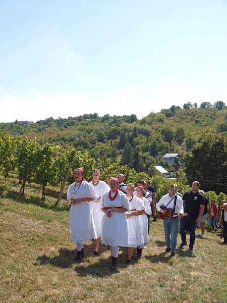 lifestyle-portugizac-plešivica-vino-modnialmanah