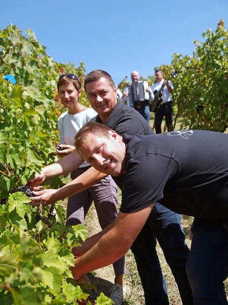 lifestyle-portugizac-plešivica-vino-modnialmanah