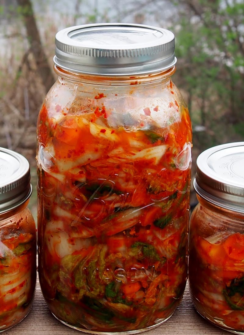 Kimchi-gastro-zimnica-modnialmanah-recept