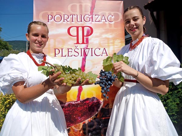lifestyle-portugizac-plešivica-vino-modnialmanah