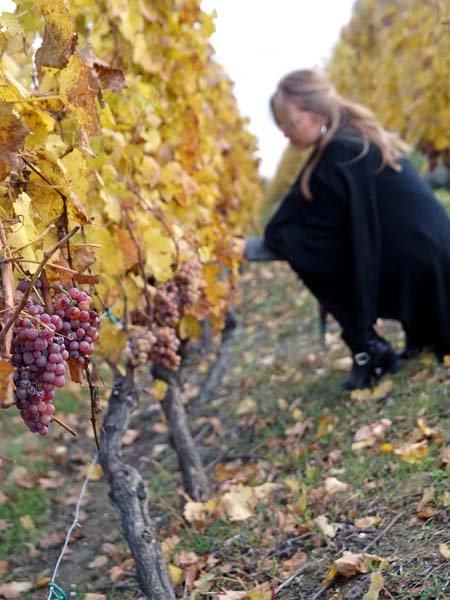 women's-days-modnialmanah-ilok-vukovar-srijem-lifestyle-alma-premerl-zoko