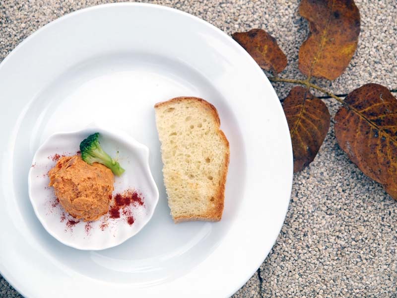 women's-days-modnialmanah-ilok-vukovar-srijem-lifestyle-alma-premerl-zoko