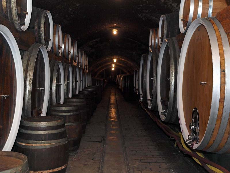 lifestyle-iločkih-podruma-modnialmanah