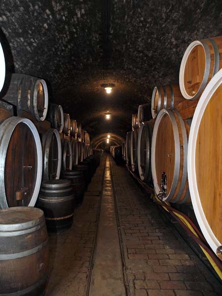 lifestyle-iločkih-podruma-modnialmanah