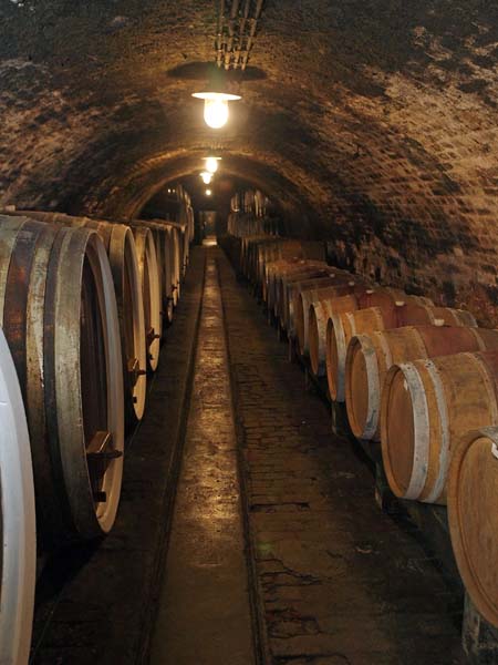 lifestyle-iločkih-podruma-modnialmanah