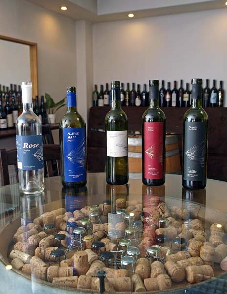 janjina-peljeških-vrhova-plavac-gastro-modnialmanah-vinski-klub