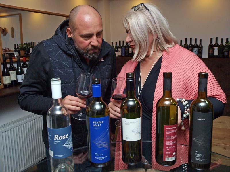 janjina-peljeških-vrhova-plavac-gastro-modnialmanah-vinski-klub
