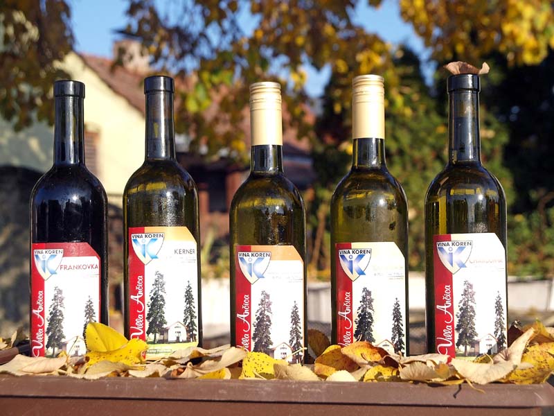 dravski-peski-lifestyle-martinje-royal-restoran-koren-vina-modnialmanah