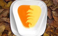 gastro-juha-od-dvije-vrste-paprike-modnialmanah
